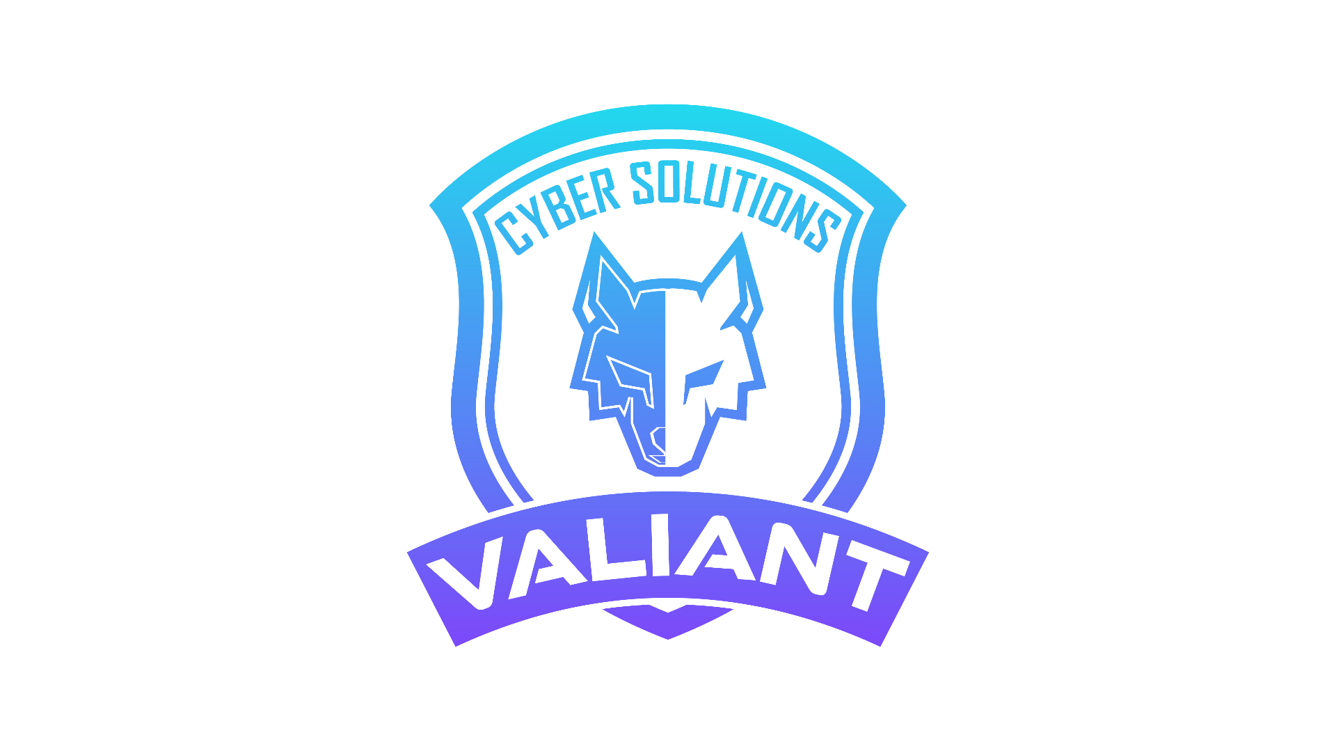 Valiant Cyber Solutions